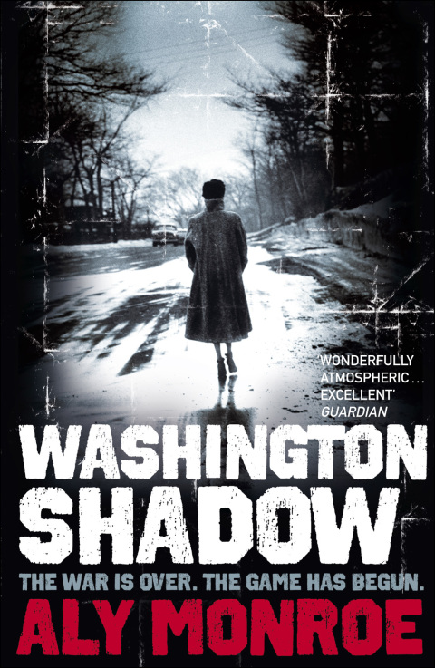 Cover image for book Washington Shadow
