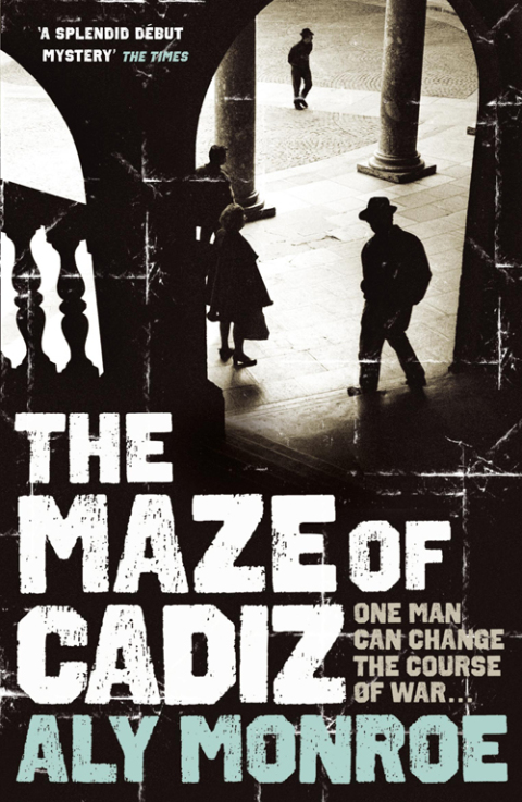 Cover image for book The Maze of Cadiz