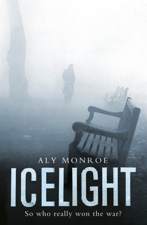 Cover image for book Icelight