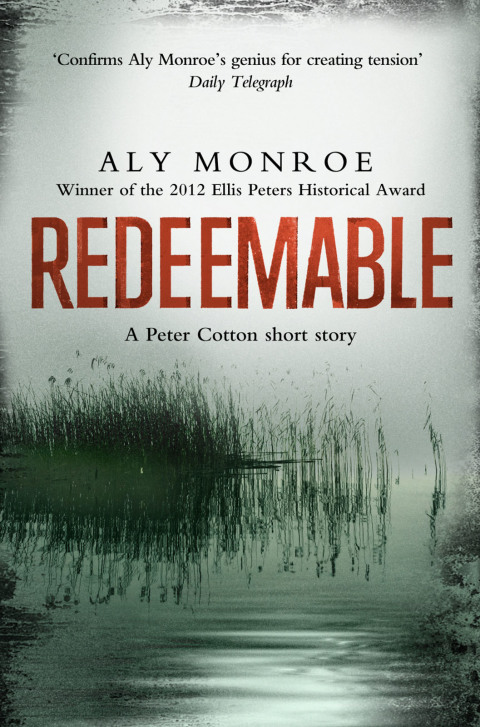 Cover image for book Redeemable