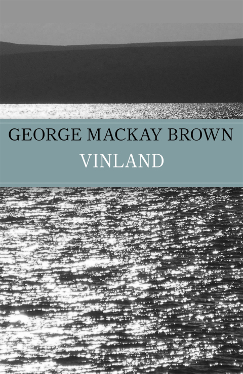 Cover image for book Vinland