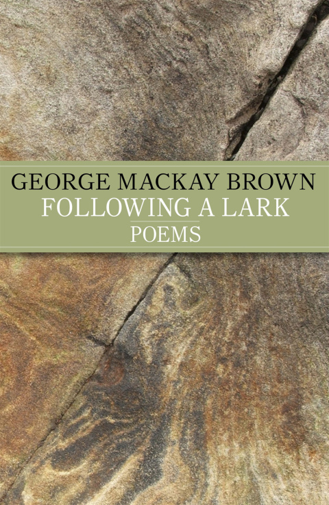 Cover image for book Following A Lark