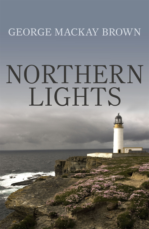 Cover image for book Northern Lights