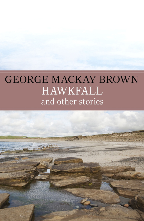 Cover image for book Hawkfall