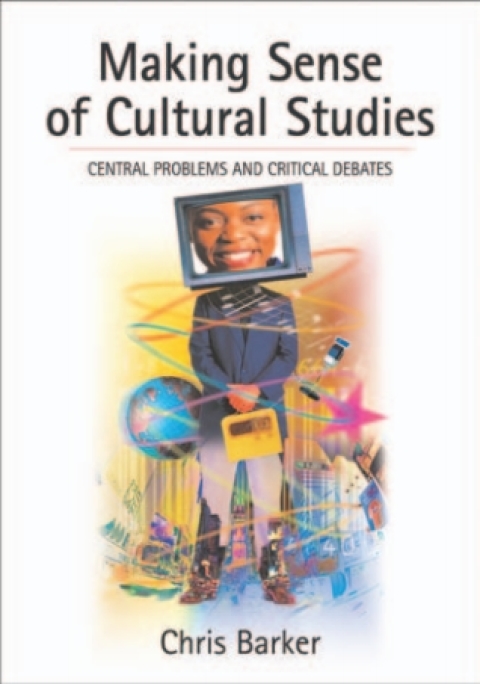 Making Sense of Cultural Studies 
