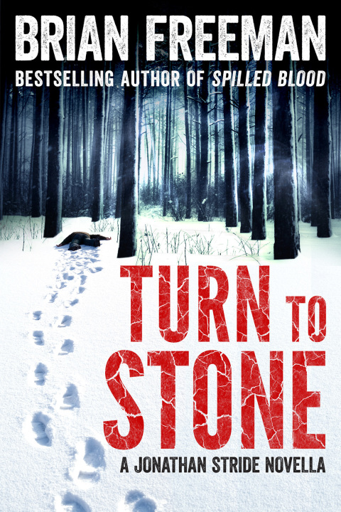 Cover image for book Turn to Stone