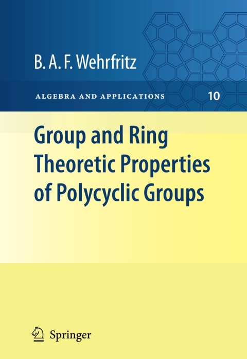 Cover image for book Group and Ring Theoretic Properties of Polycyclic Groups