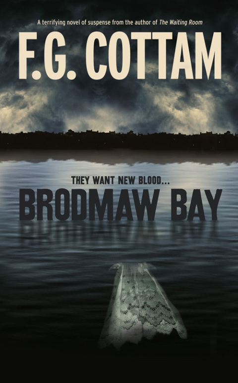 Cover image for book Brodmaw Bay