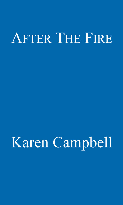 Cover image for book After the Fire