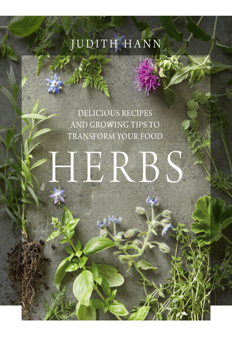 Cover image for book Herbs
