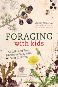 Cover image: Foraging with Kids 9781786781635