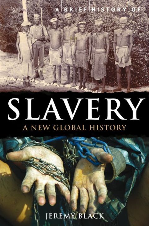 Cover image for book A Brief History of Slavery