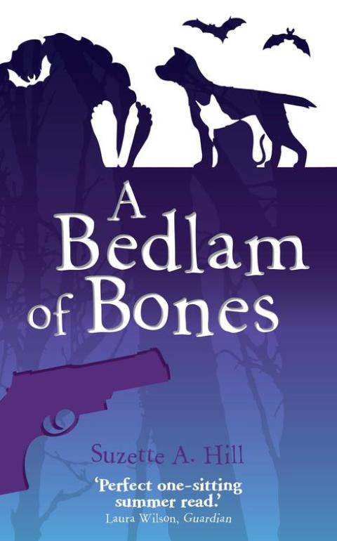 Cover image for book A Bedlam of Bones