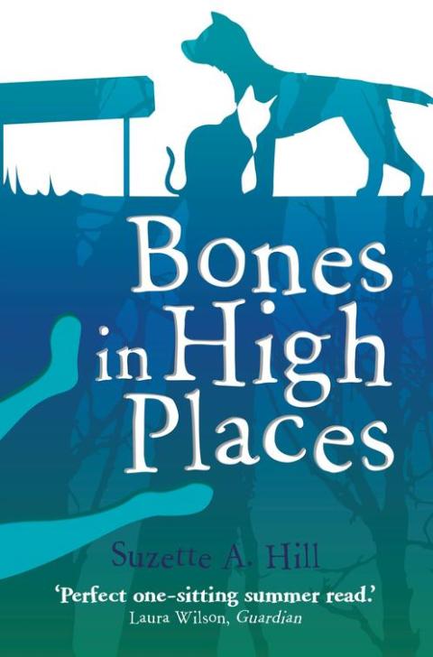 Cover image for book Bones in High Places