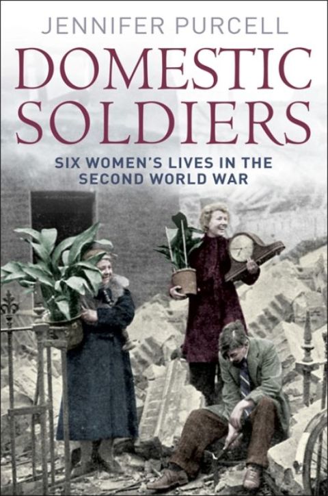 Cover image for book Domestic Soldiers