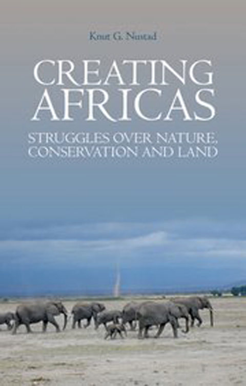 Cover image for book Creating Africas