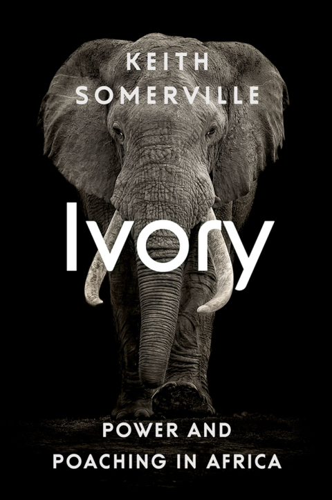 Cover image for book Ivory