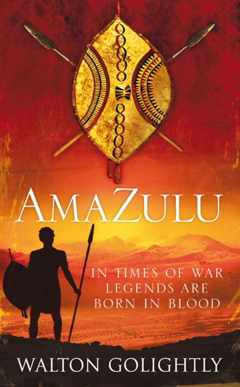 Cover image for book Amazulu