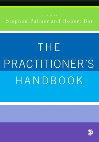 Cover image: The Practitioner′s Handbook 1st edition 9780761941668