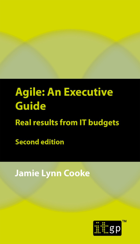Cover image for book Agile: An Executive Guide: Real results from IT budgets