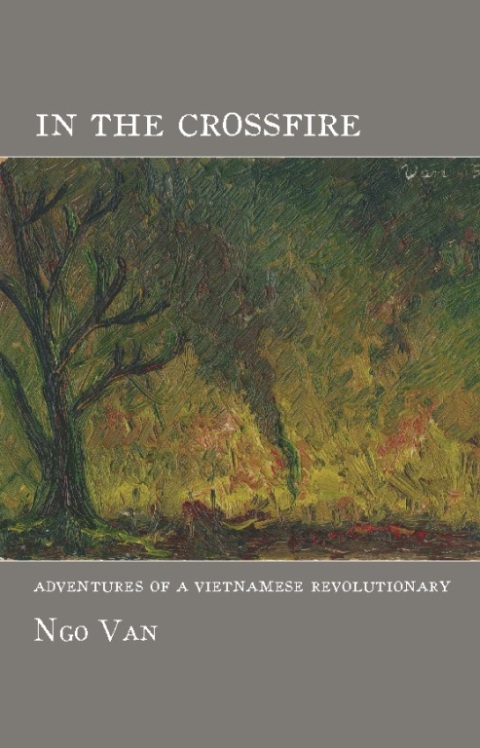 Cover image for book In the Crossfire