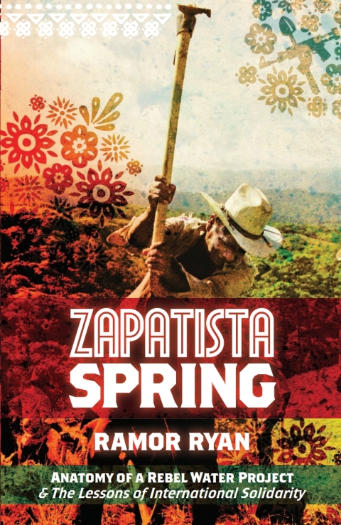 Cover image for book Zapatista Spring