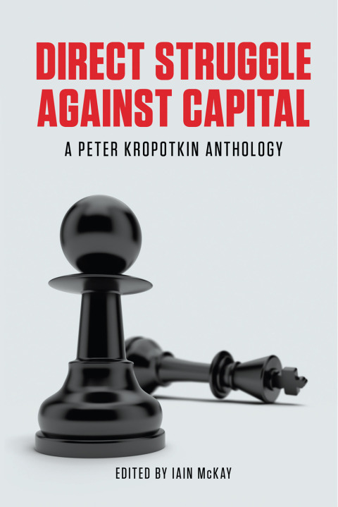 Cover image for book Direct Struggle Against Capital