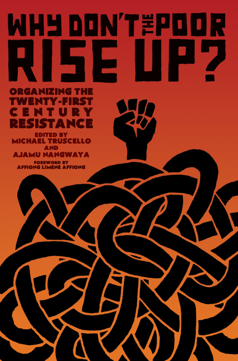 Cover image for book Why Don't the Poor Rise Up?