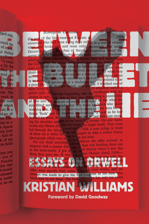 Cover image for book Between the Bullet and the Lie