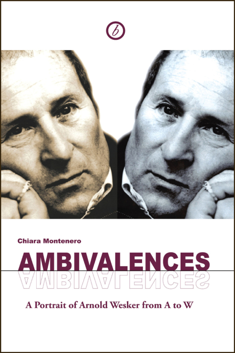 Cover image for book Ambivalences