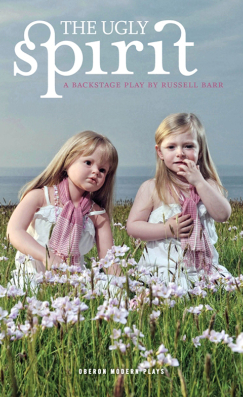 Cover image for book The Ugly Spirit