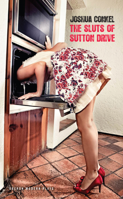 Cover image for book The Sluts of Sutton Drive