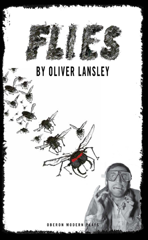 Cover image for book Flies