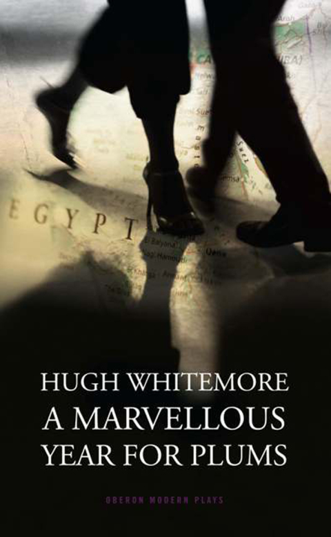 Cover image for book A Marvellous Year for Plums