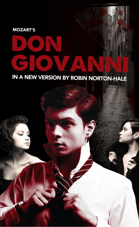 Cover image for book Don Giovanni
