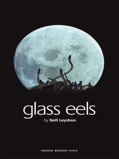 Cover image for book Glass Eels