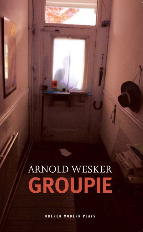 Cover image for book Groupie
