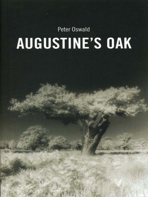 Cover image for book Augustine's Oak