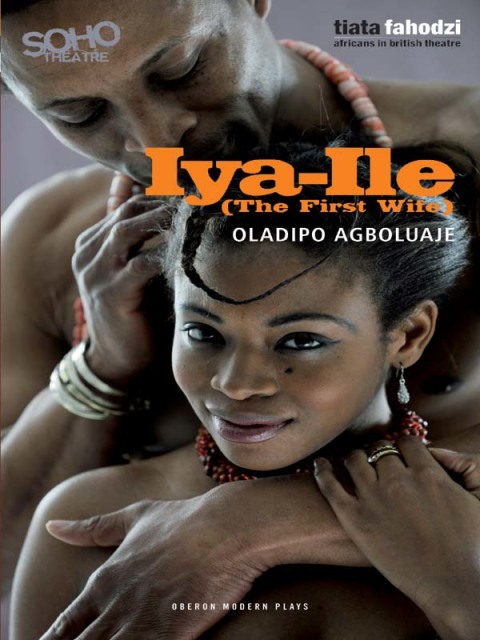 Cover image for book Iya-Ile : The First Wife