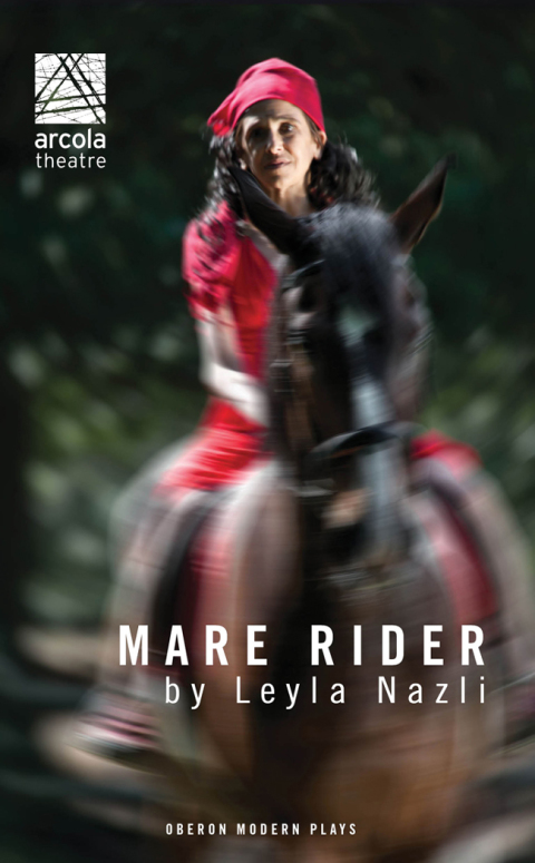 Cover image for book Mare Rider