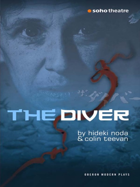 Cover image for book The Diver