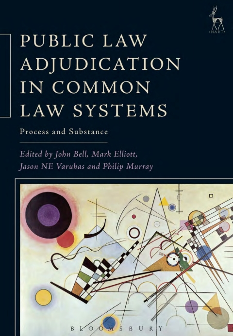 Public Law Adjudication in Common Law Systems 