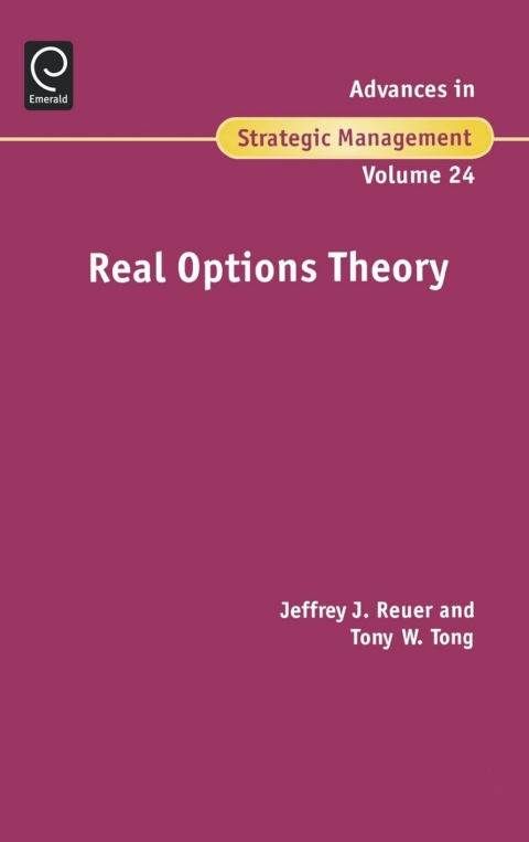 Real Options Theory 