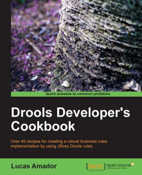 Cover image for book Drools Developer's Cookbook