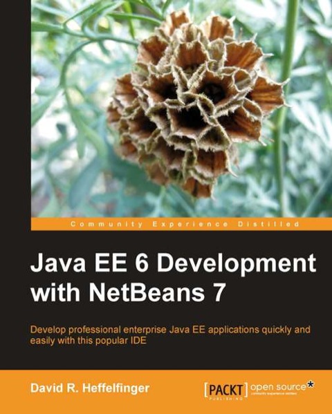 Cover image for book Java EE 6 Development with NetBeans 7
