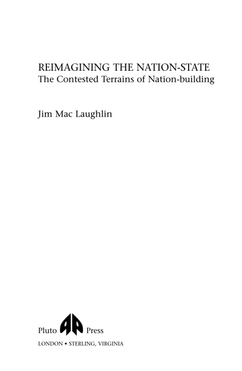 Cover image for book Reimagining the Nation-State