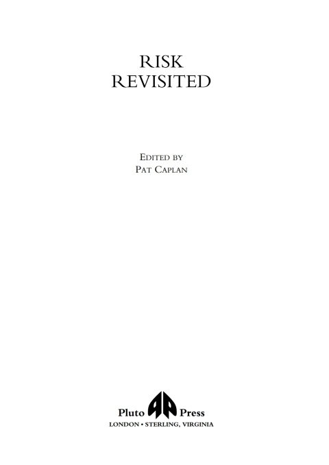 Cover image for book Risk Revisited