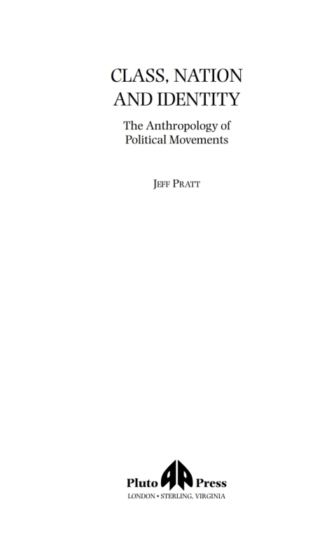 Cover image for book Class, Nation and Identity