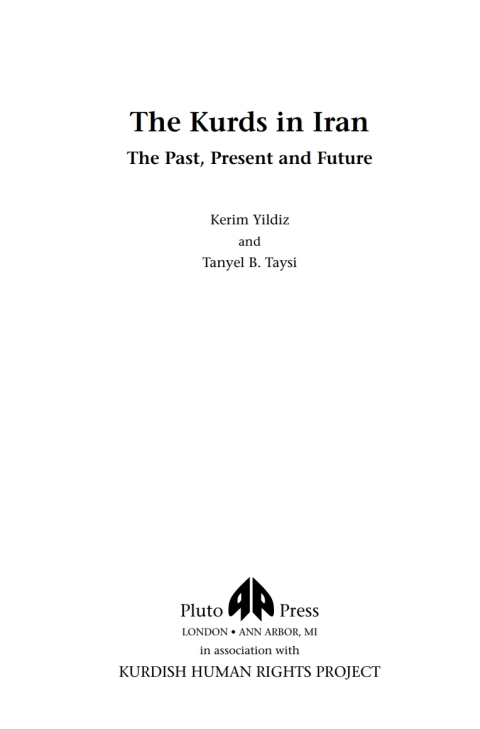 Cover image for book The Kurds in Iran
