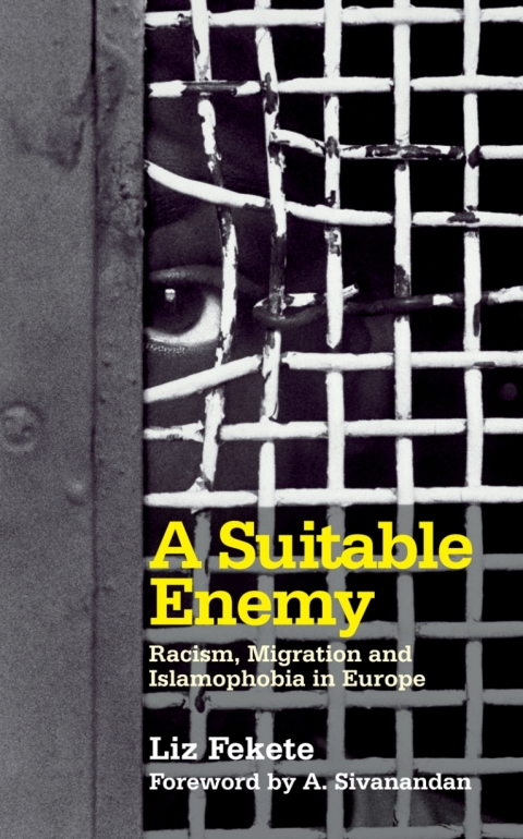 Cover image for book A Suitable Enemy